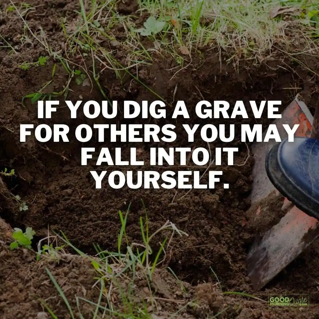 if you dig a grave for others funny wisdom quote