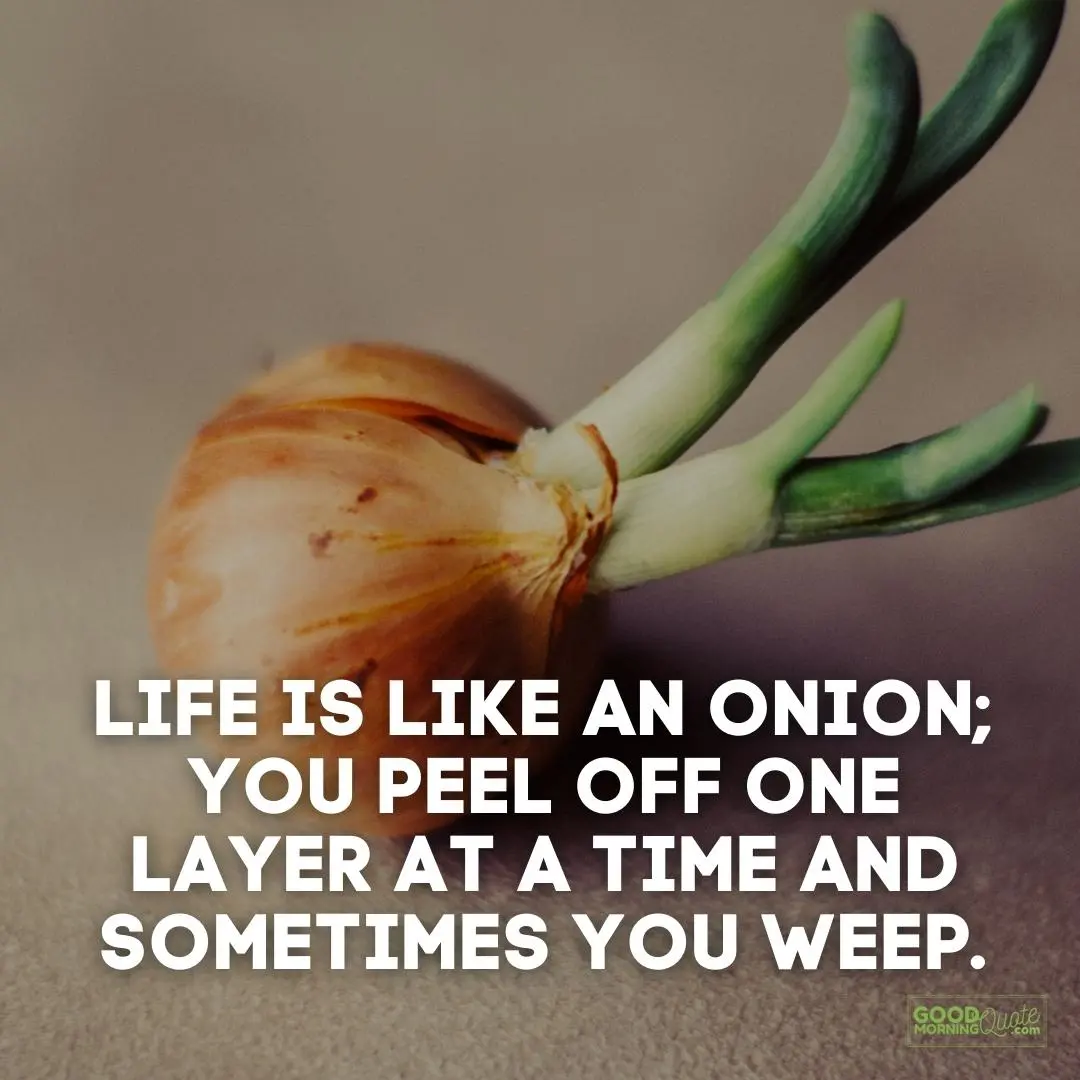 life is like an onion funny wisdom quote