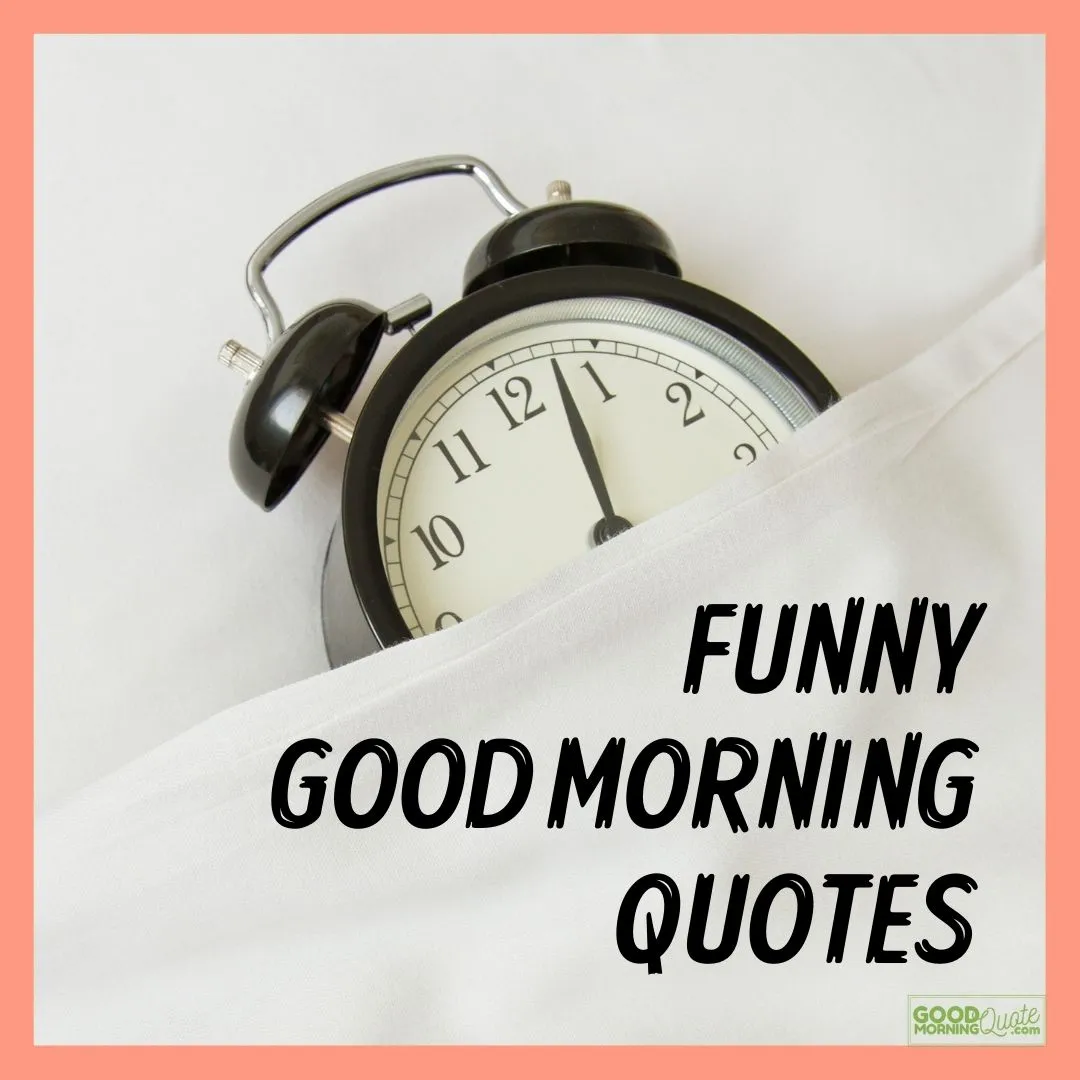 64 Funny Good Morning Quotes (with Pictures)