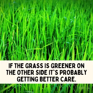if the grass is greener on the other side funny wisdom quote
