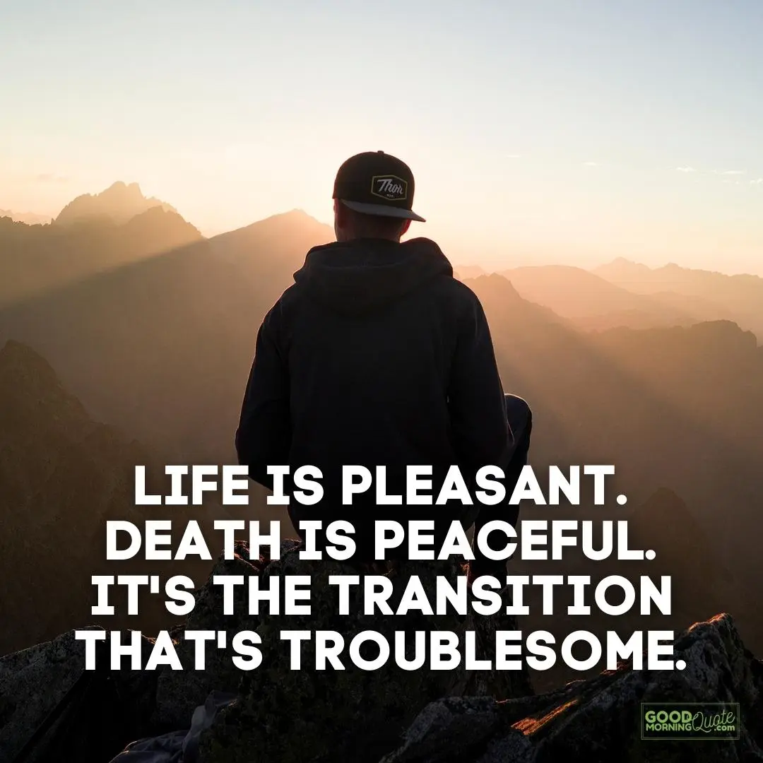 life is pleasant funny wisdom quote