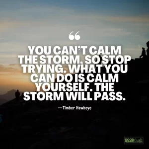 you can't calm the storm - adversity quote